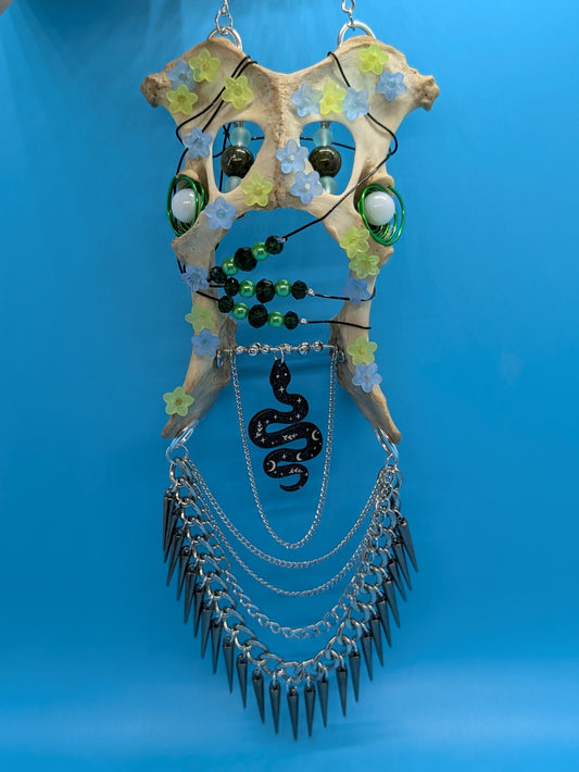 Coyote Bone Wall Art